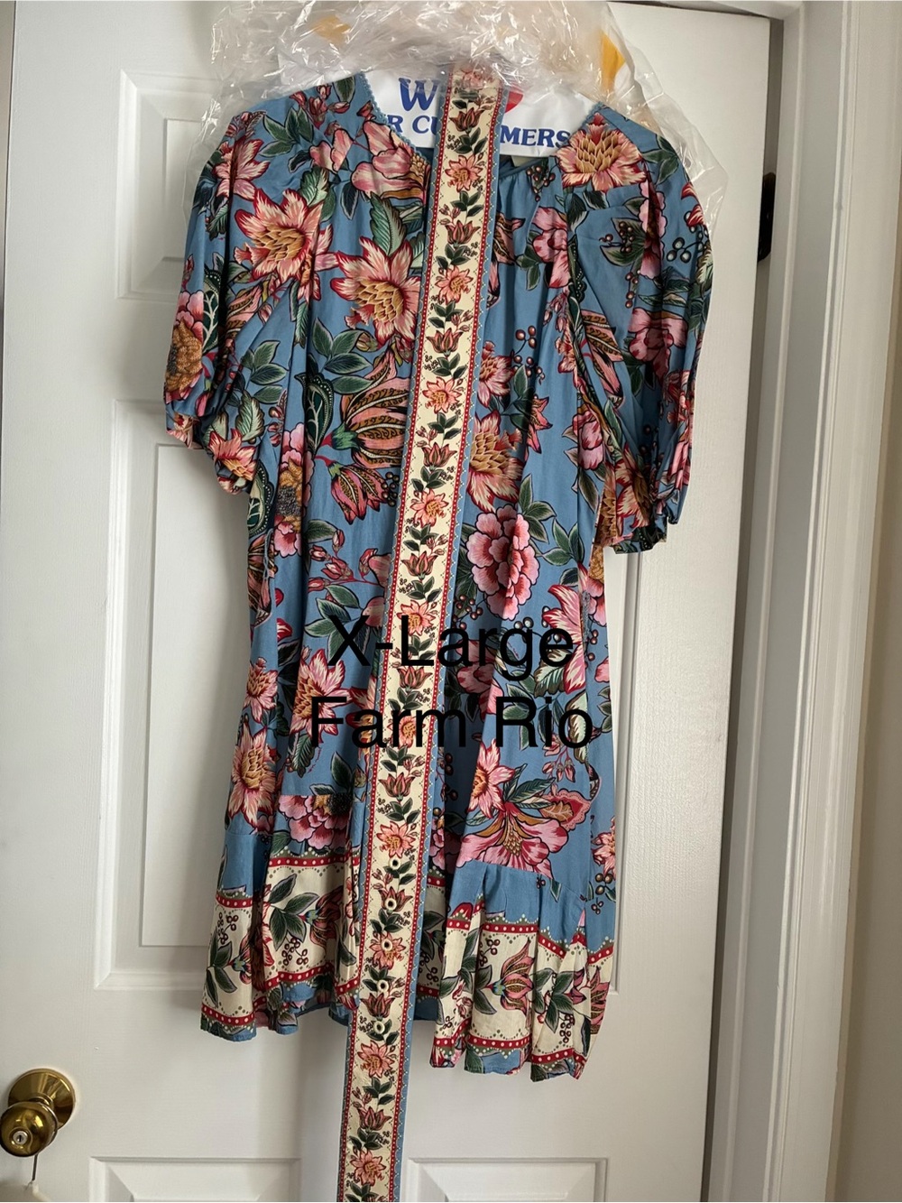 FARM Rio Blue Floral Mini Dress with Pink & Green Accents